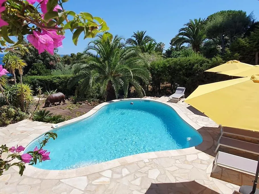 Villa 4 Etoiles , Lou Mistralou , Mer A 400 Metres, Ete Du Dimanche Au Dimanche Saint-Peire-sur-Mer 0*,  France